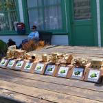 TruckShow_0062 (May 06, 2012)